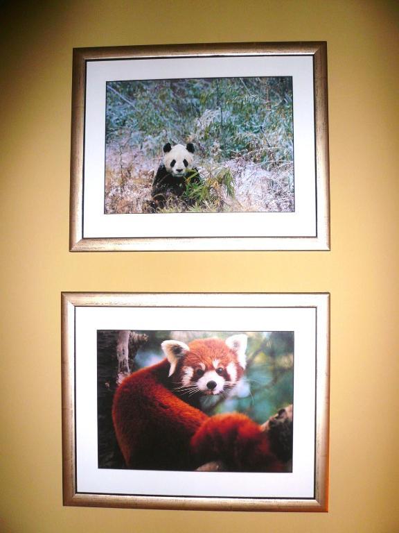 Panda Villa Edinburgh Ngoại thất bức ảnh